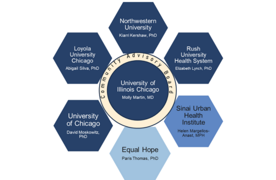 NIH CEAL diagram of institutions and PIs